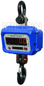 Crane Scales