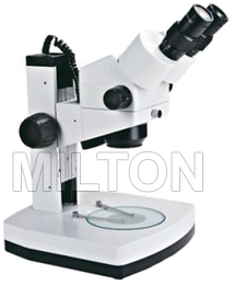 Stereo Microscopes